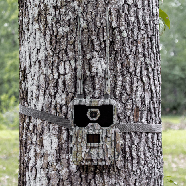 WiseEye Data Cam 2
