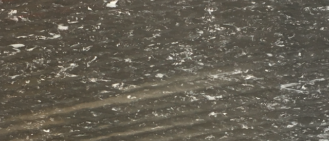 HT Moto Tank/Seat Grip